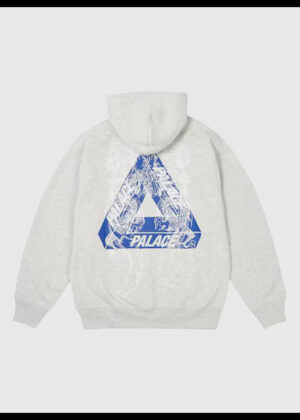 palace tri dragon hoodie
