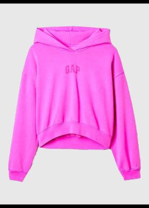 project gap arch logo cropped hoodie