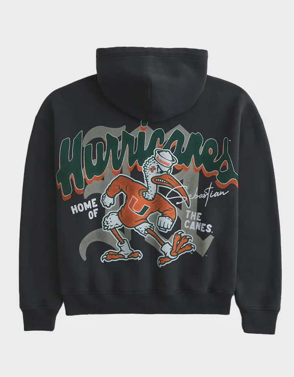 Hollister Boxy University of Miami Hoodie Back Hollister Boxy University of Miami Hoodie Back